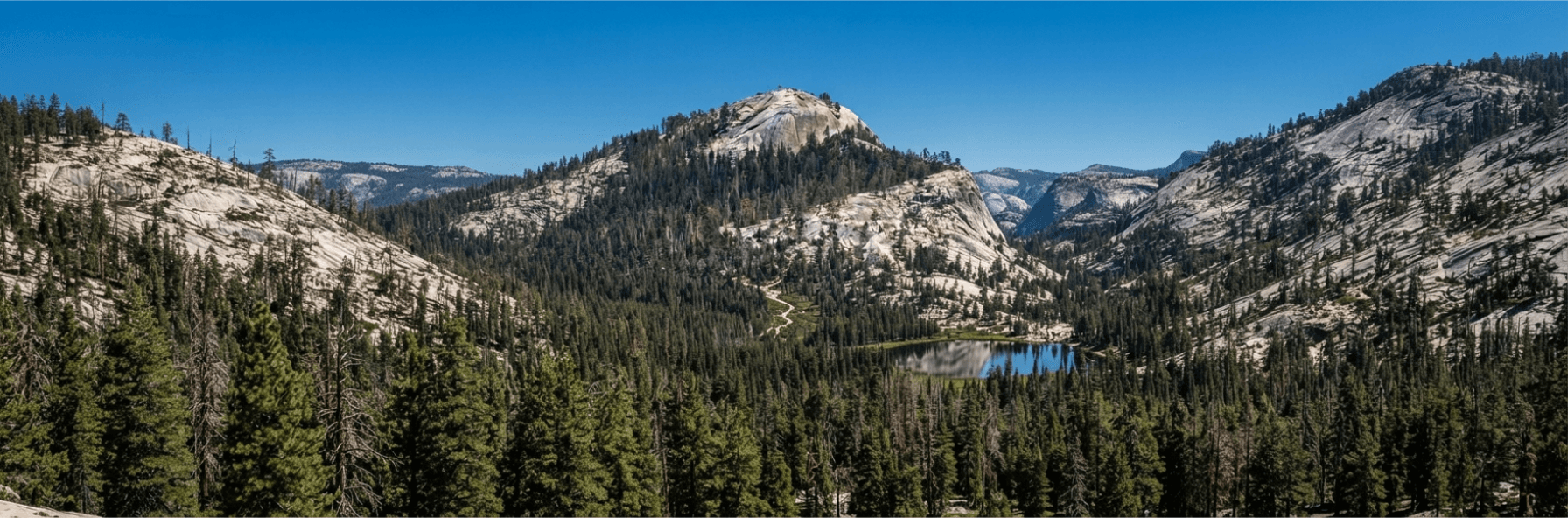 Golden wildflower fields and oak-dotted hills near Valley Springs